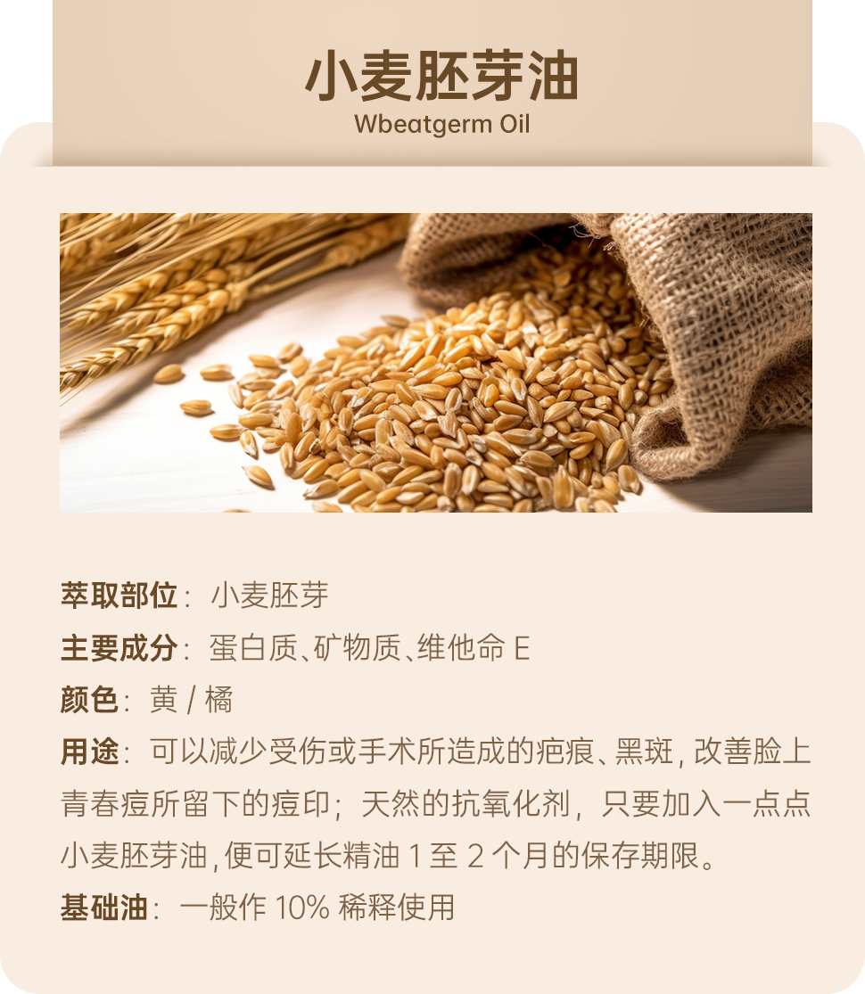 组 1 拷贝 2.png
