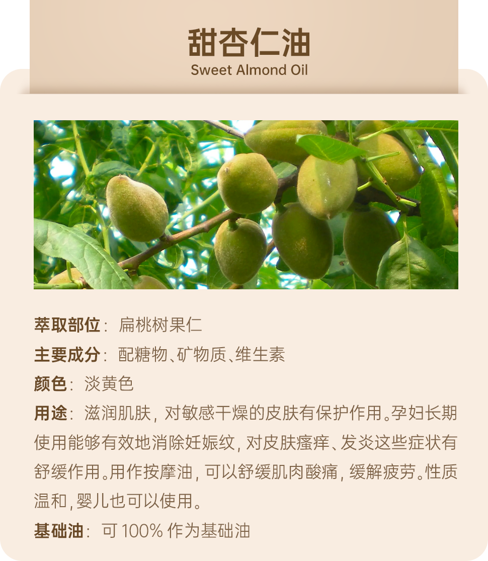 组 1 拷贝.png