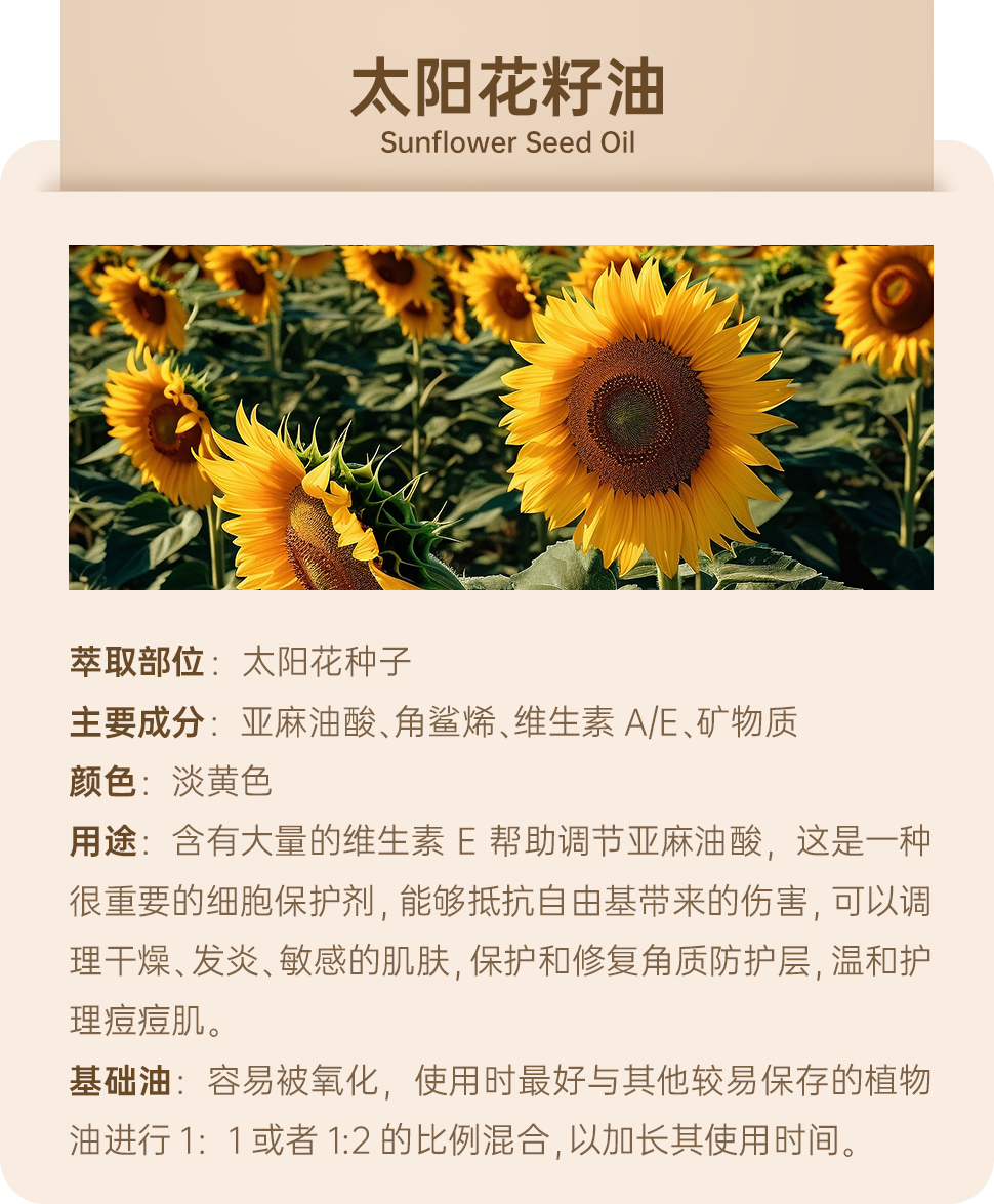 组-1-拷贝-3.png