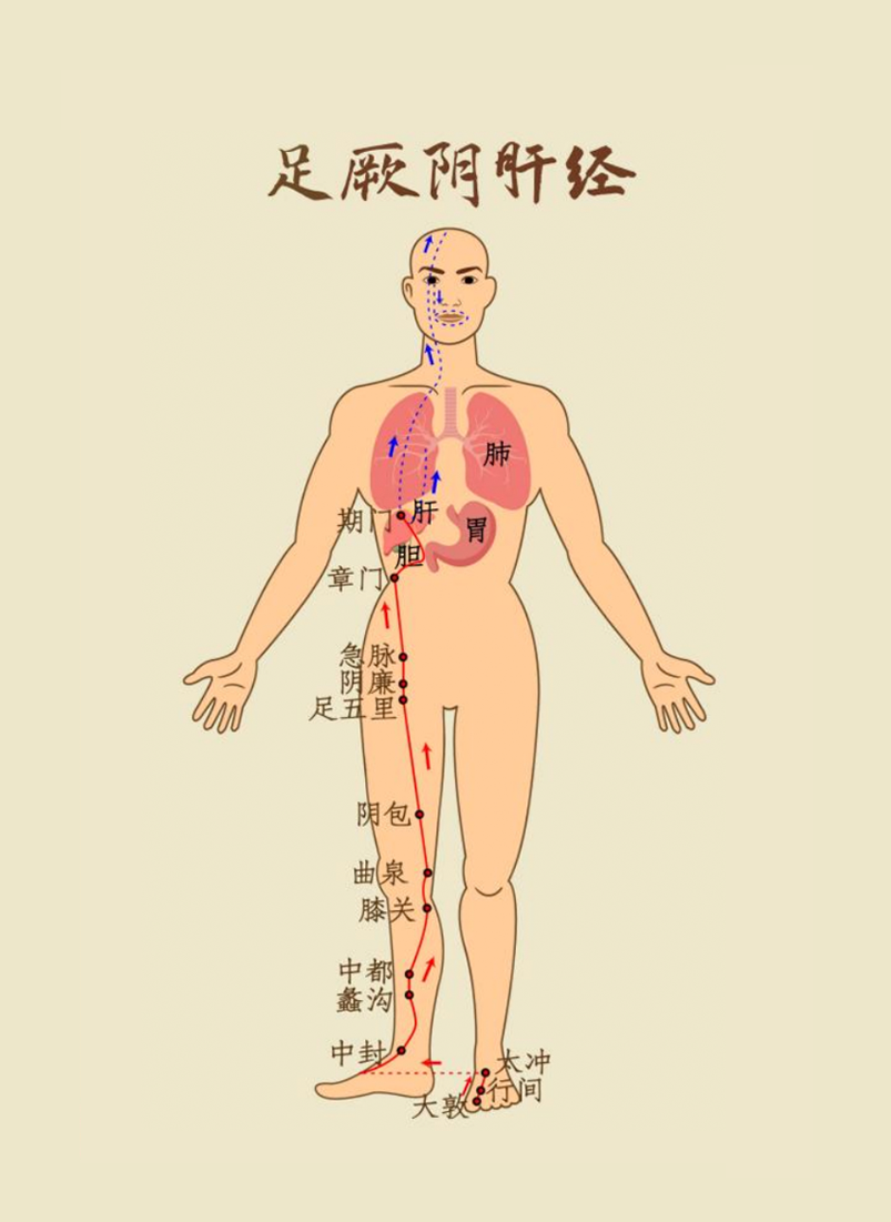 组 1 拷贝 3.png 组 1 拷贝 3.png
