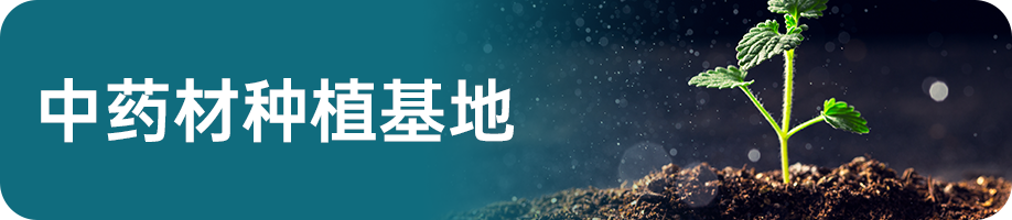 组 3 拷贝 6.png 组 3 拷贝 6.png