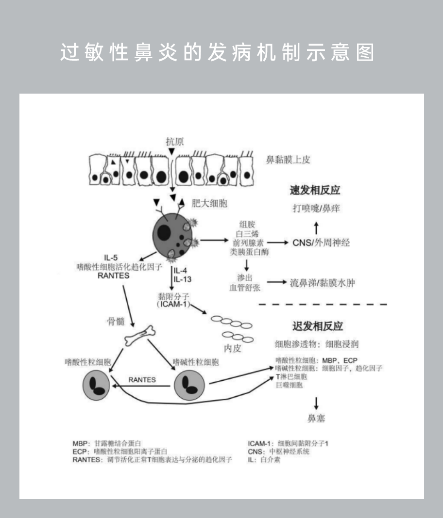 组 2.png 组 2.png