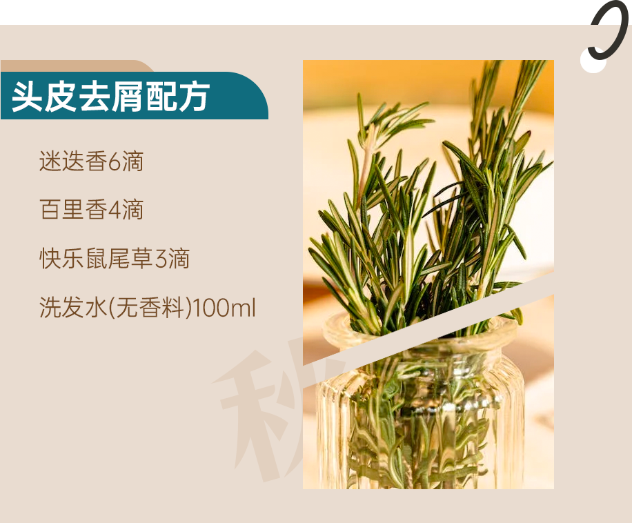 组 3 拷贝 4.png 组 3 拷贝 4.png
