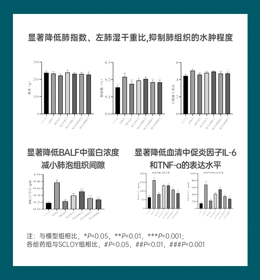 图层 16.png 图层 16.png