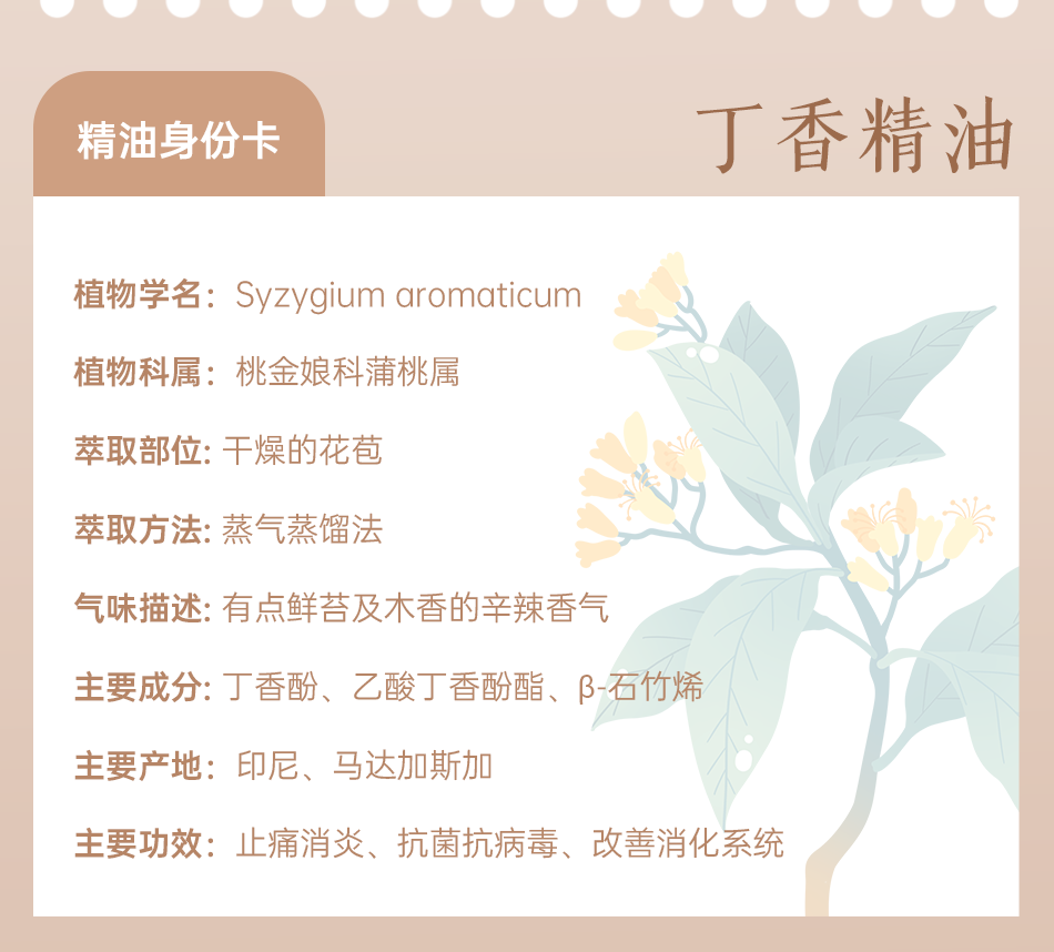 组 8.png 组 8.png