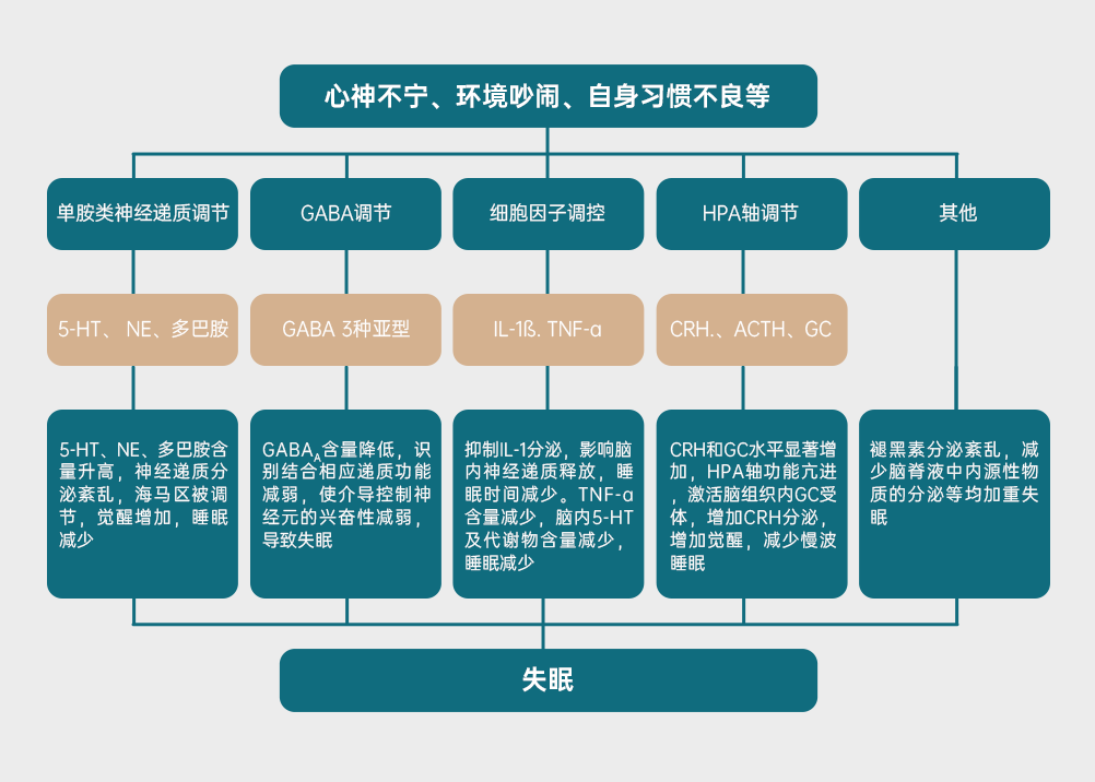组 3.png