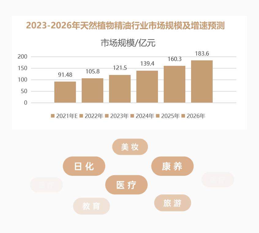 组 11.png
