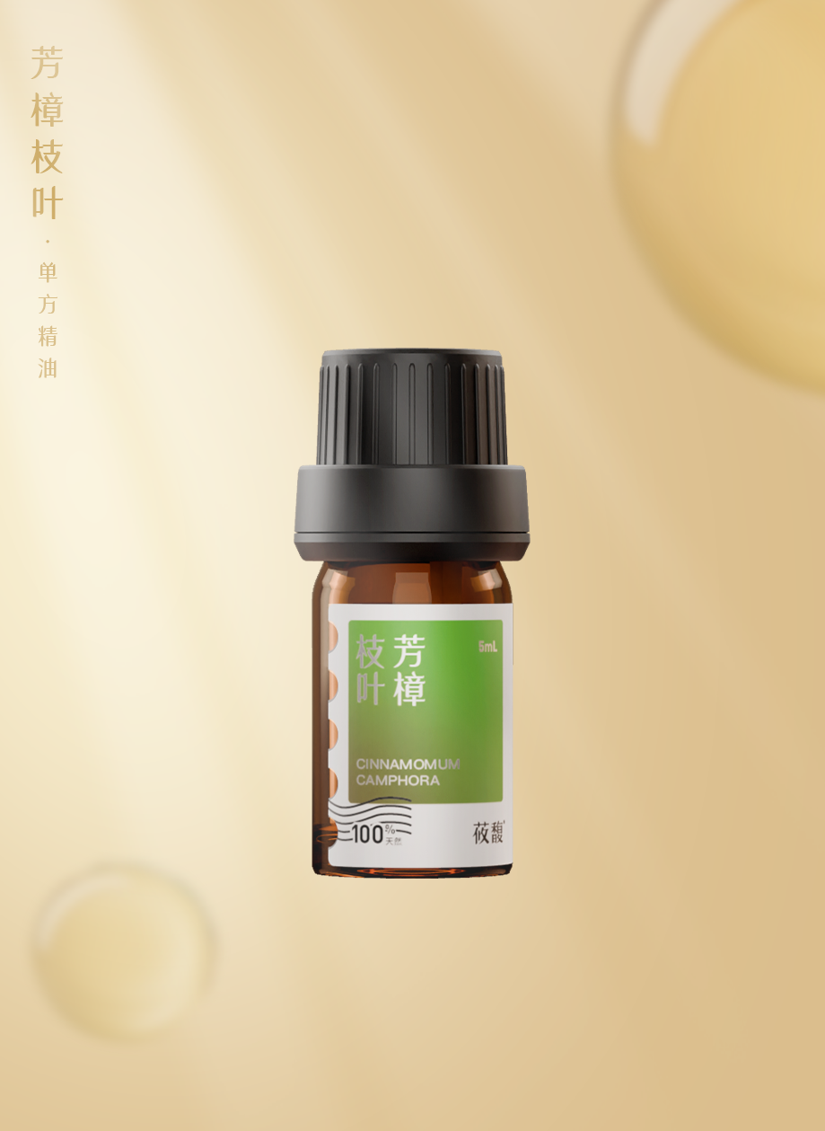 芳樟枝叶.png 芳樟枝叶.png