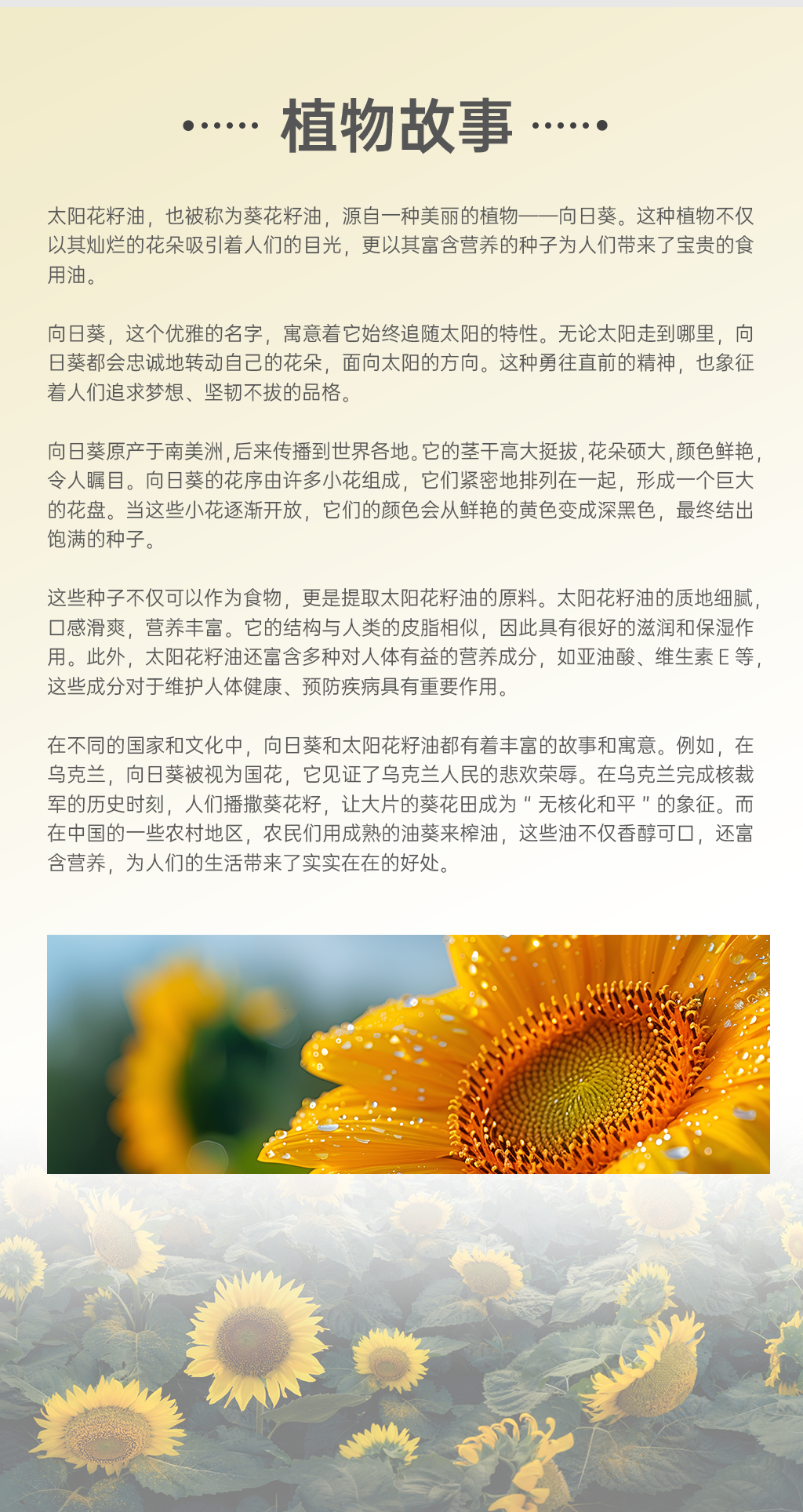 单方精油详情页-太阳花籽油_02.png