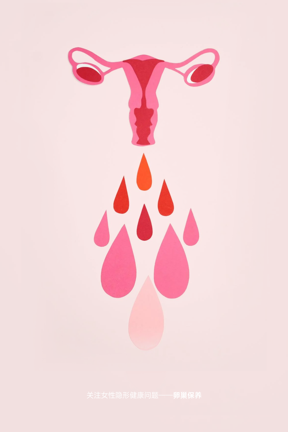 组 6.png 组 6.png