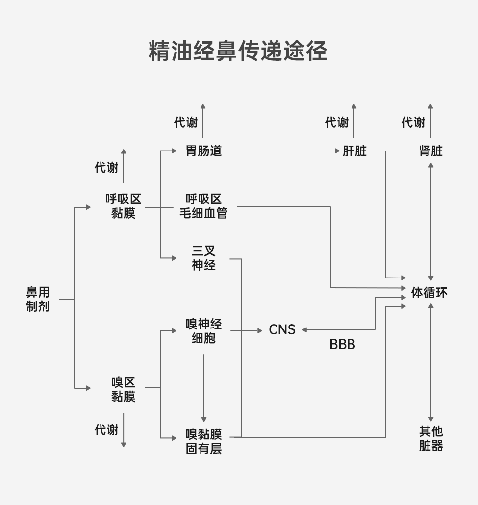 组 8.png 组 8.png