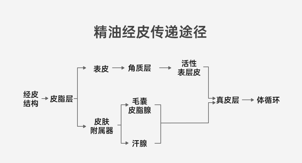 组 9.png 组 9.png