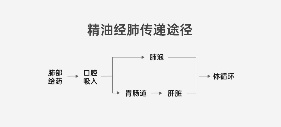 组 9 拷贝.png 组 9 拷贝.png