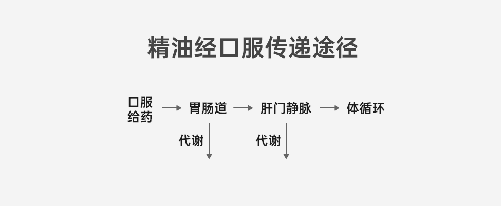 组 9 拷贝 2.png 组 9 拷贝 2.png