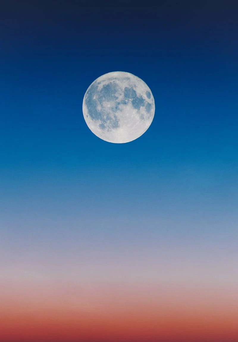 图层 8.png 图层 8.png