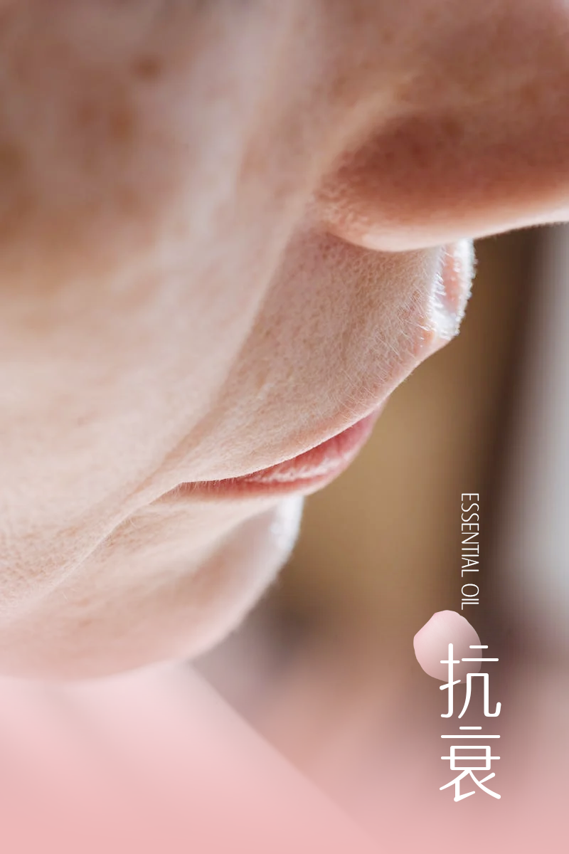 组 4.png 组 4.png
