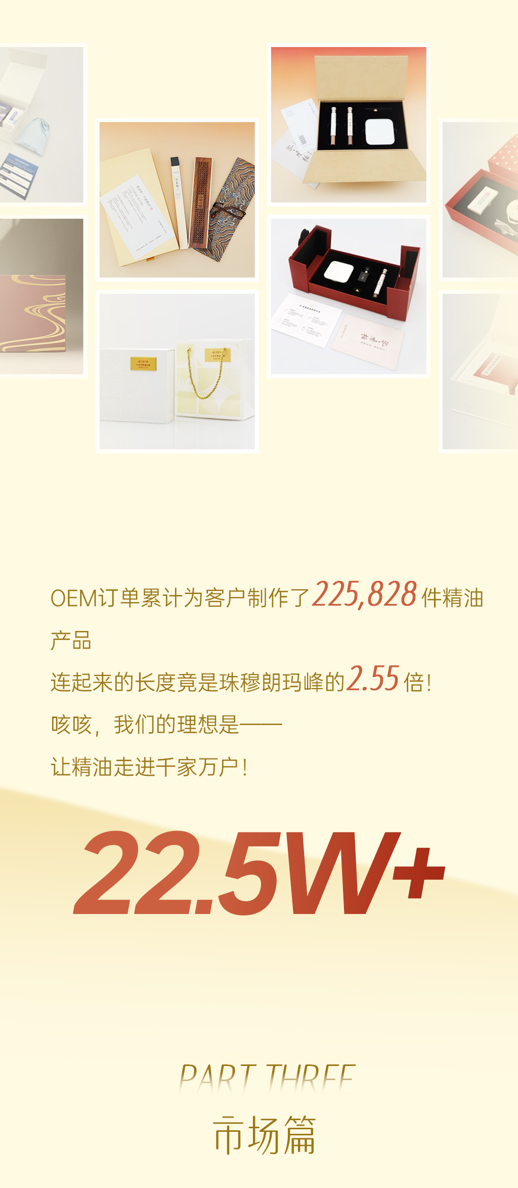 24年度报告3_02.jpg