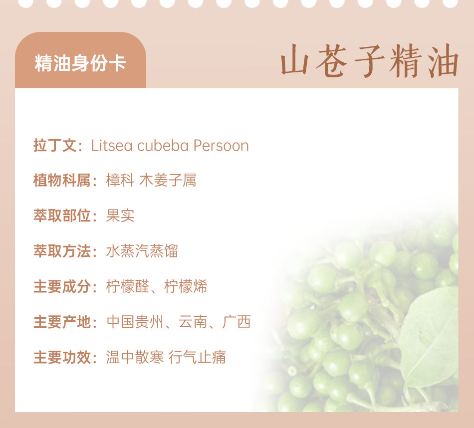 组 8.png 组 8.png