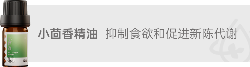 组 3 拷贝 2.png