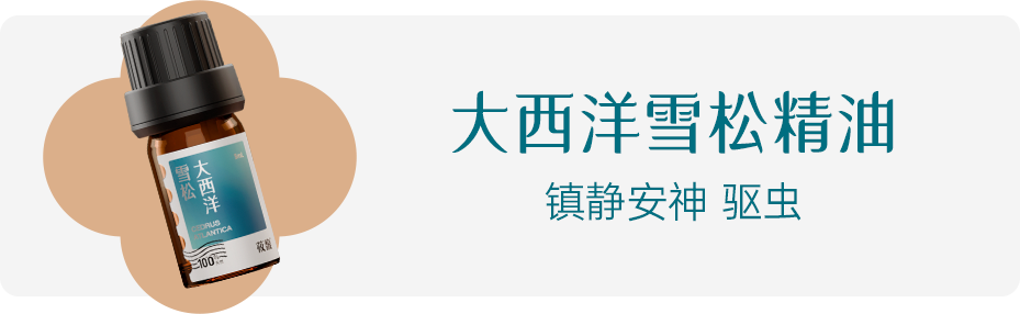 组 1 拷贝 7.png 组 1 拷贝 7.png