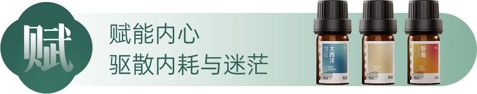 组 4 拷贝 3.png