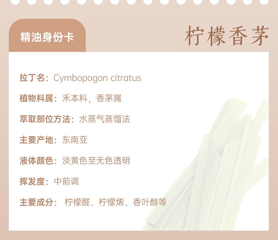组 8.png 组 8.png