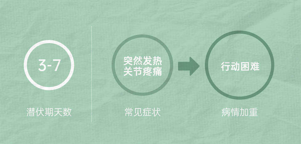 组 6 拷贝 2.png