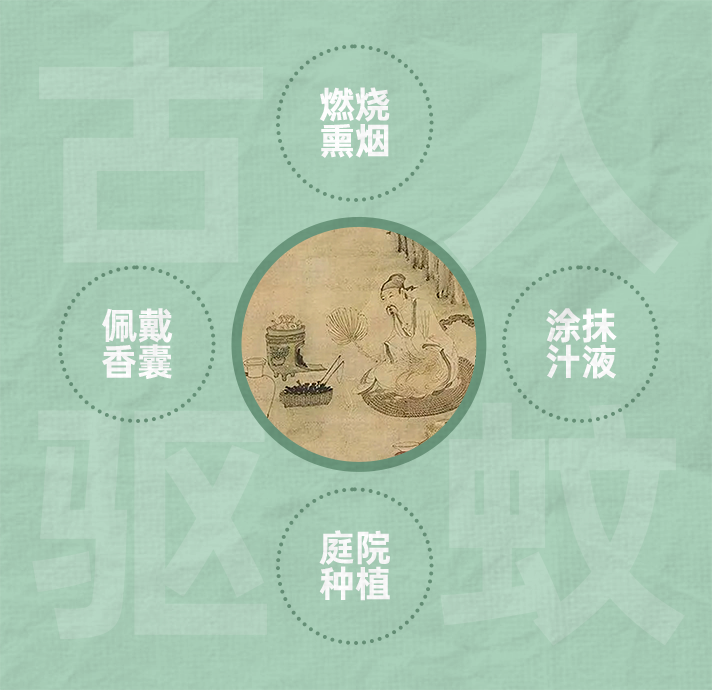 组 6 拷贝 6.png