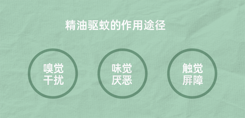 组 6 拷贝 3.png