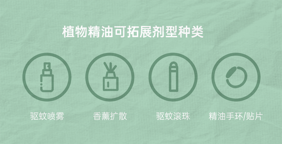 组 6 拷贝 4.png
