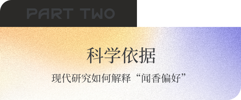 组 4 拷贝.png