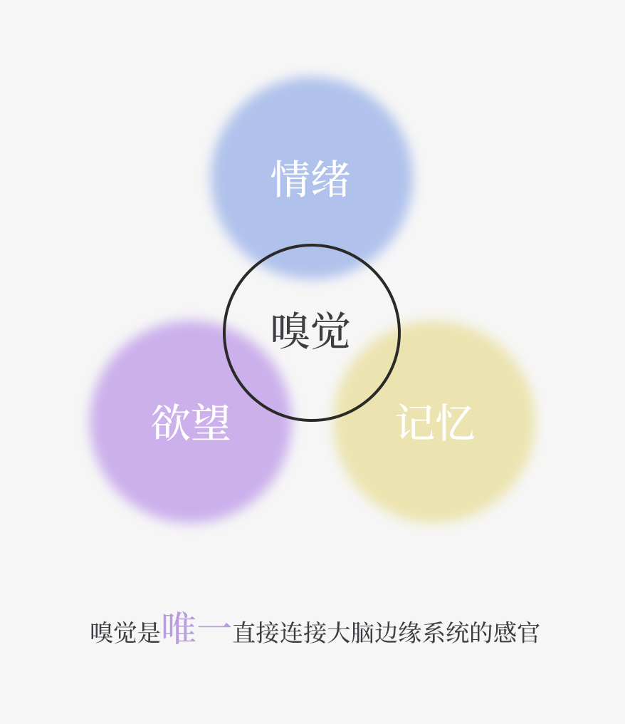 组 3 拷贝 2.png