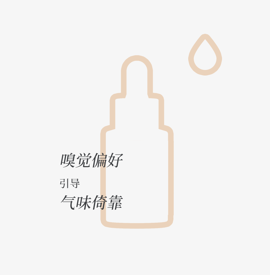 组 3 拷贝 3.png