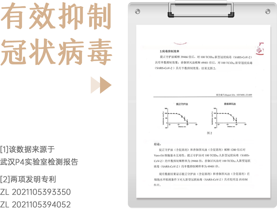 组 13.png