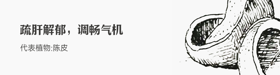 薄荷 拷贝.png 薄荷 拷贝.png