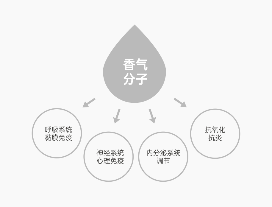 组 13.png 组 13.png