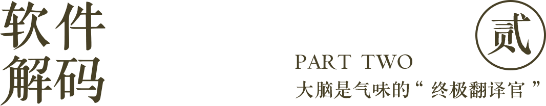 组 4 拷贝.png 组 4 拷贝.png