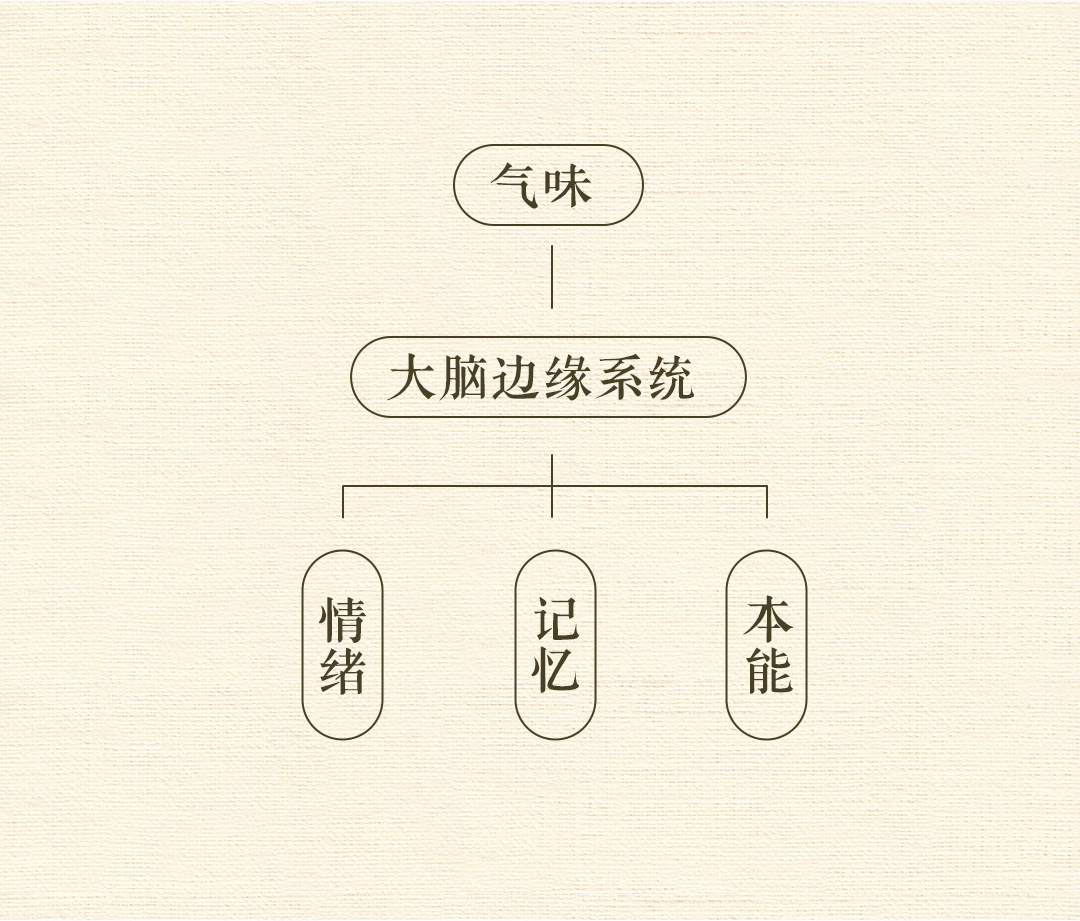 组 3 拷贝.png 组 3 拷贝.png