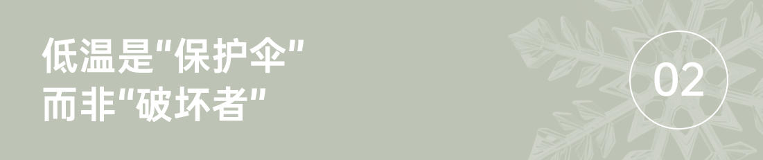 组 16 拷贝.png 组 16 拷贝.png