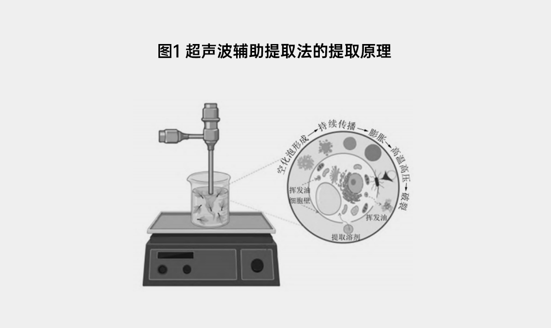 组 15.png 组 15.png