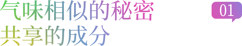 组 14.png