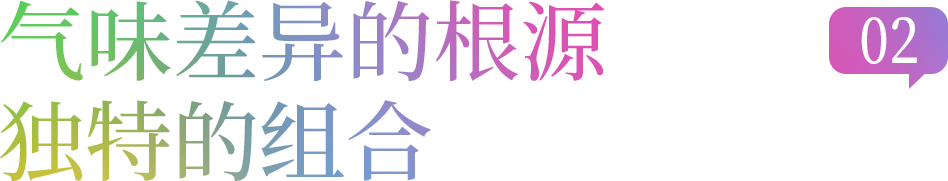 组 14 拷贝.png