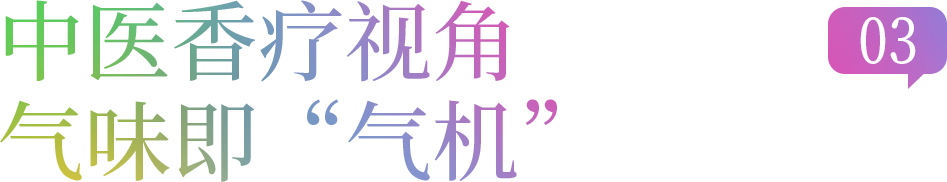 组 14 拷贝 2.png