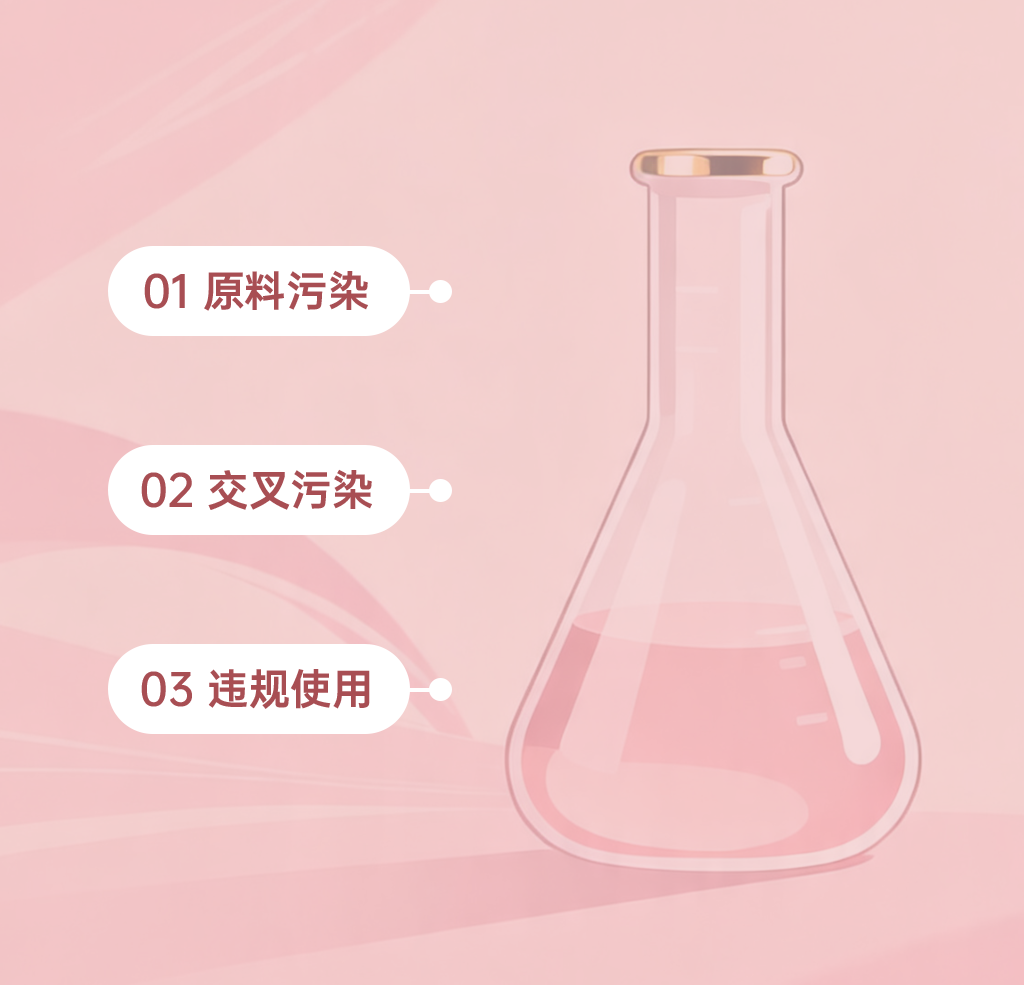 组 3.png