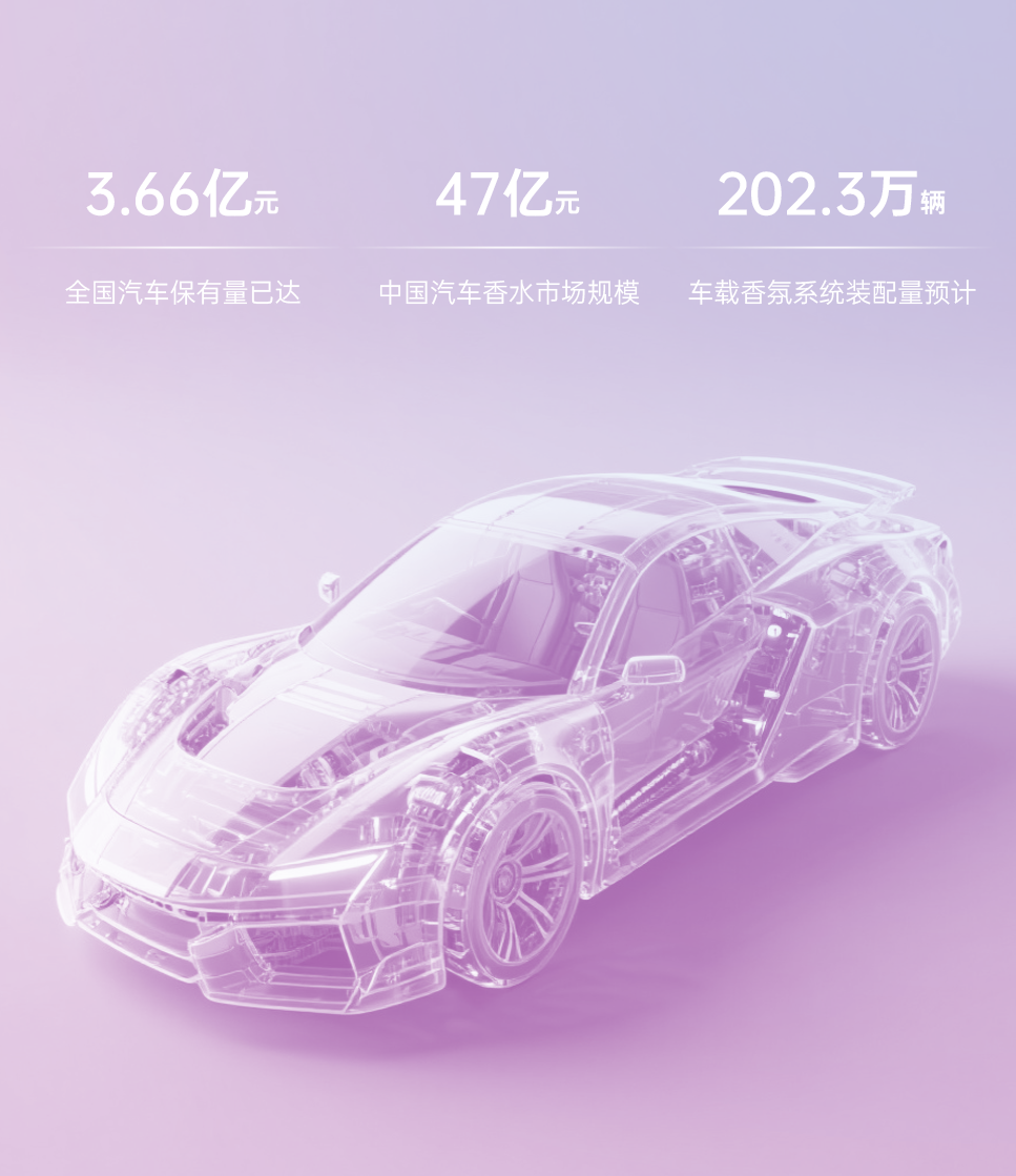 组 2 拷贝.png