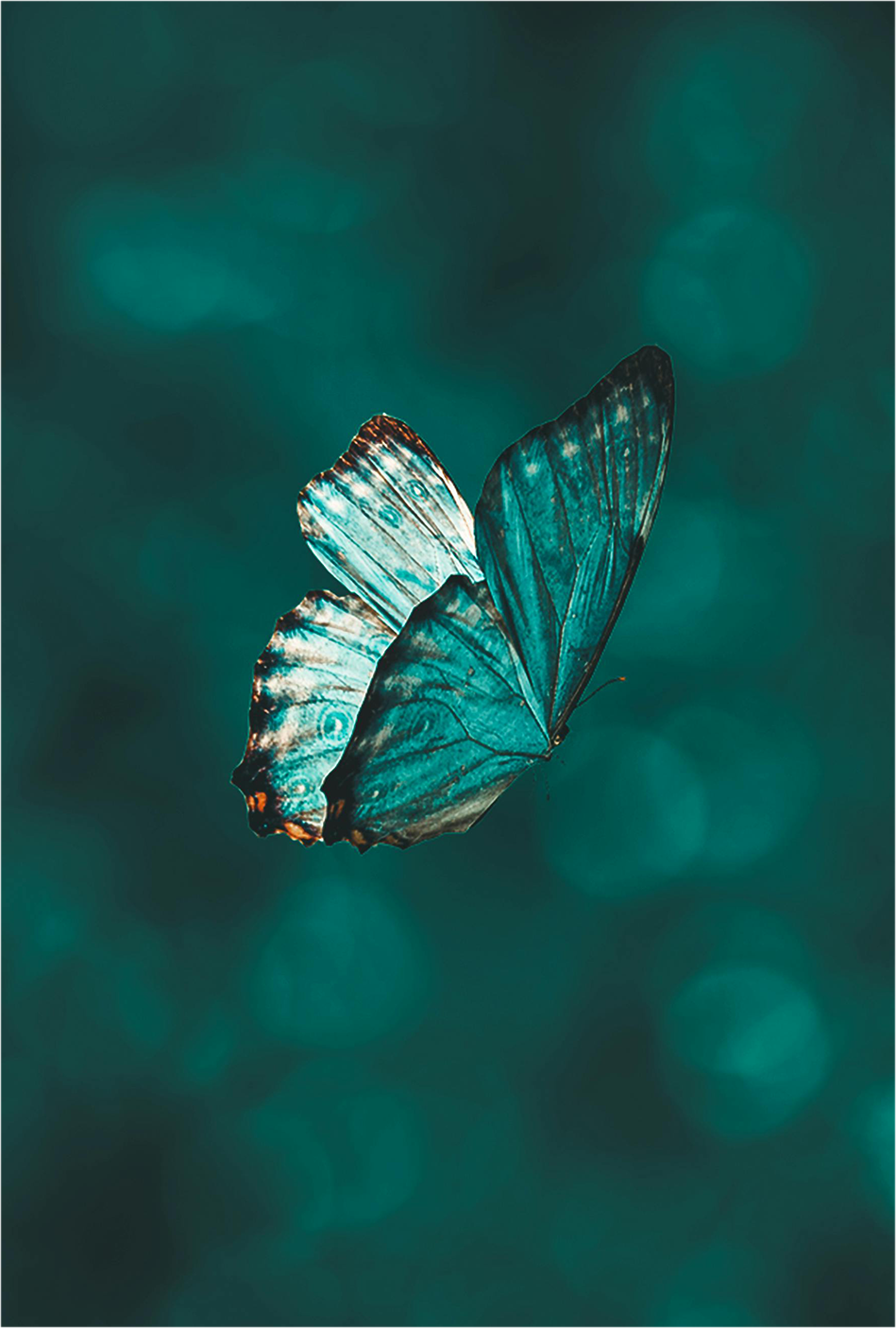 pexels-aarngiri-5710381.png