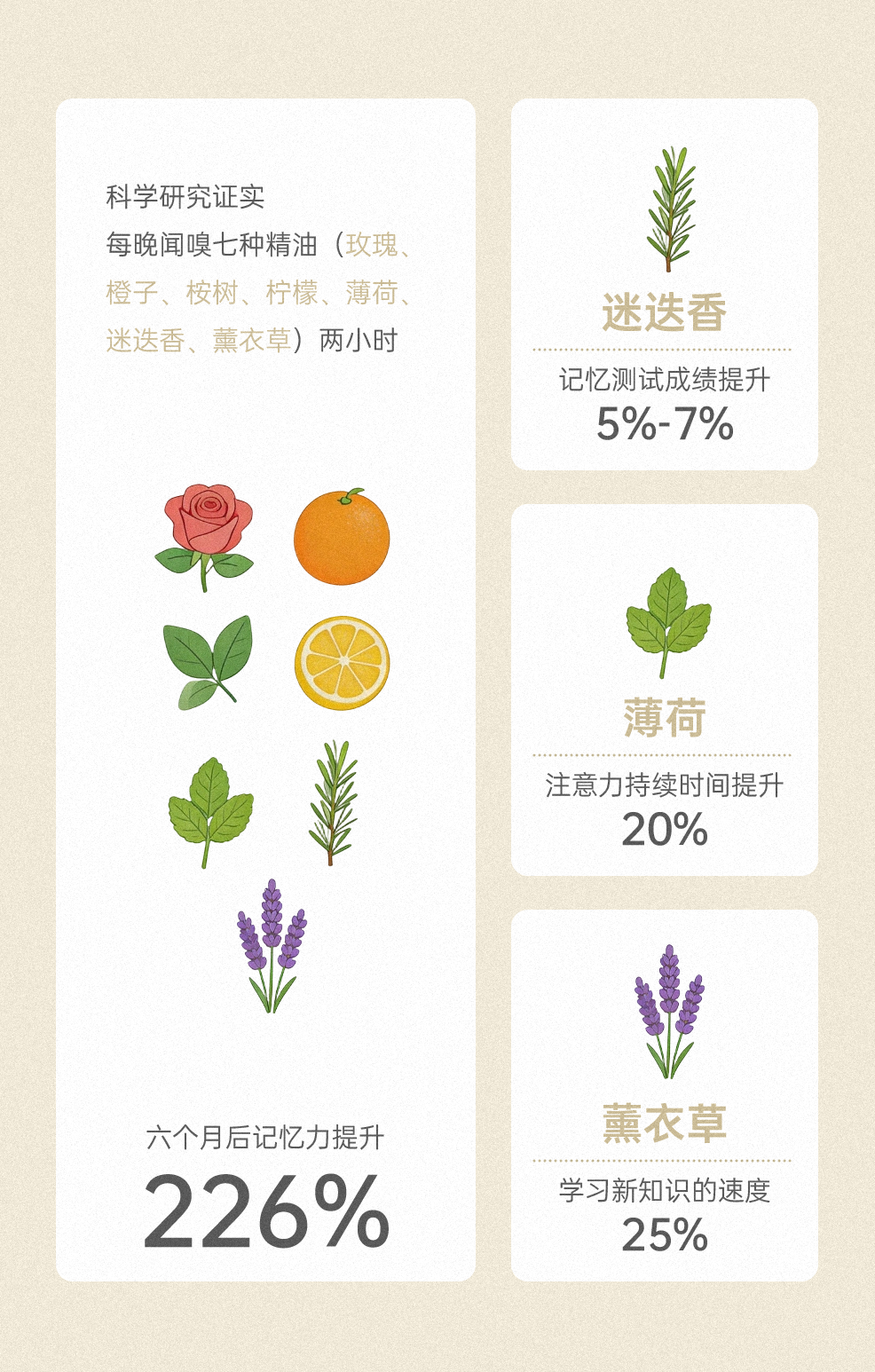 组 3.png