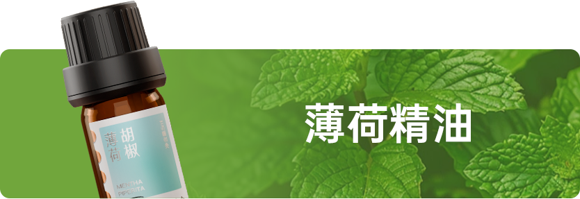 组 12 拷贝.png