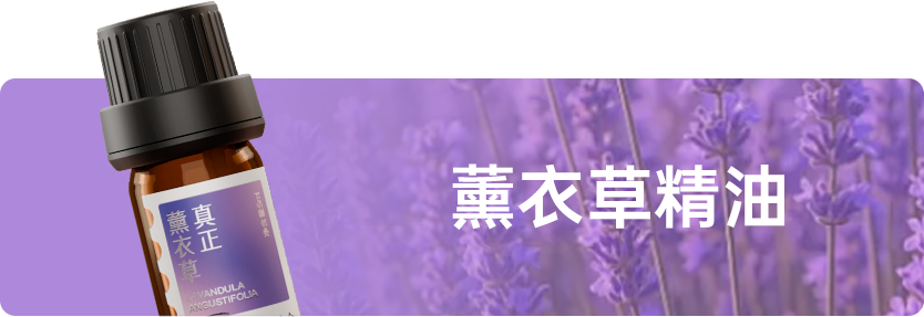 组 12.png