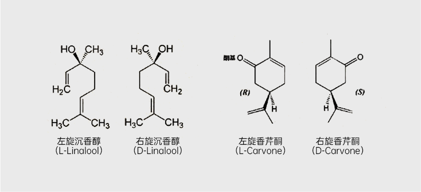 组 3.png